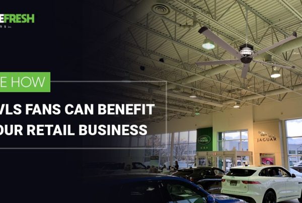 HVLS Fans Can Benefit Your Retail Business