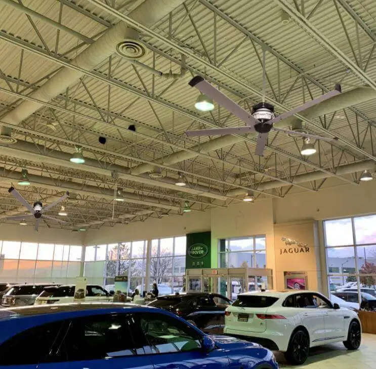 Fan and Dealership website