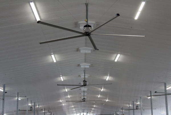 Agricultural Ceiling Fans