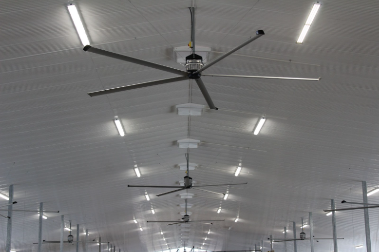Agricultural Ceiling Fans